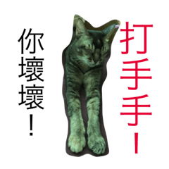 [LINEスタンプ] The cutest cat and other regular cats