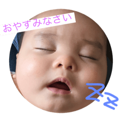 [LINEスタンプ] ひな坊の日常