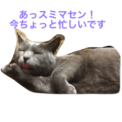 [LINEスタンプ] catmood