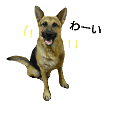 [LINEスタンプ] シェパード