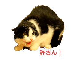 [LINEスタンプ] みろほの