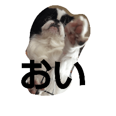 [LINEスタンプ] あいらぶ狆