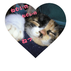 [LINEスタンプ] 母ことば