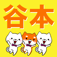 [LINEスタンプ] 超★谷本(たにもと・やもと)なイヌの画像（メイン）