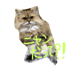 [LINEスタンプ] なんだって？