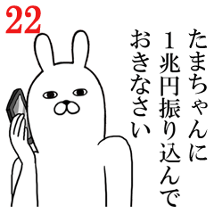 [LINEスタンプ] たまちゃんが使う面白名前スタンプ22