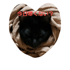 [LINEスタンプ] BlackcatJAPAN