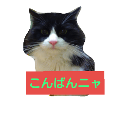 [LINEスタンプ] なる＆くる