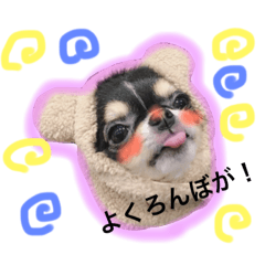 [LINEスタンプ] ツナとビア 鹿児島弁2