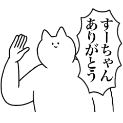 [LINEスタンプ] すーちゃんに送るスタンプ2【使いやすい】