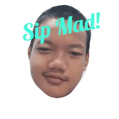 [LINEスタンプ] Bisa sih mad