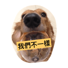 [LINEスタンプ] Eric dachshund dog