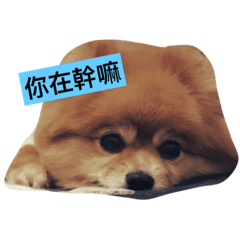 [LINEスタンプ] HaRu cute dog