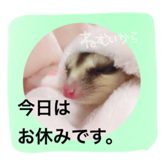 [LINEスタンプ] フクロモモンガのもふさん