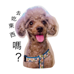 [LINEスタンプ] chocolate is a dog