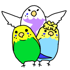 [LINEスタンプ] 三羽のインコスタンプ