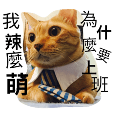 [LINEスタンプ] My Chi-chi cat