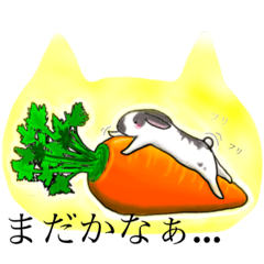 [LINEスタンプ] ツンデレ俺うさ