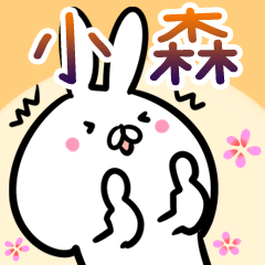 [LINEスタンプ] 小森さん専用40個入♪名前スタンプ♪