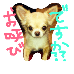 [LINEスタンプ] ペットたち…❣