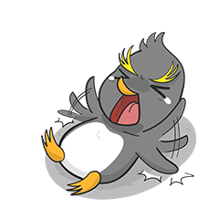 Kwanzaa : Rockhopper Penguins