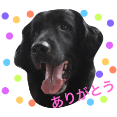[LINEスタンプ] flat Only