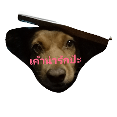 [LINEスタンプ] I am naem