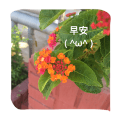 [LINEスタンプ] Photo Greeting Stickers C.