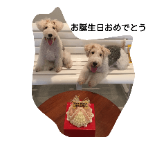 [LINEスタンプ] Fox Terrier1