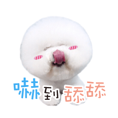 [LINEスタンプ] the dog-Tiger girl Meng Meng despair II