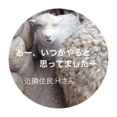 ひつじのインタビュー