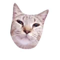 [LINEスタンプ] Bell Cathy