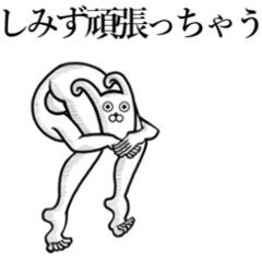 [LINEスタンプ] 【しみず/清水】が動いた！