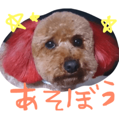 [LINEスタンプ] 愛犬チョッパー。2
