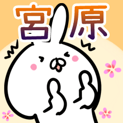 [LINEスタンプ] 宮原さん専用40個入♪名前スタンプ♪