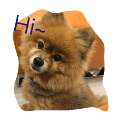 [LINEスタンプ] cute cute dog dog 2