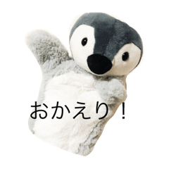 [LINEスタンプ] 仲良しペンペンズ