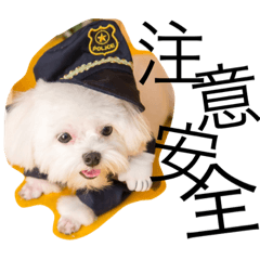 [LINEスタンプ] Jirosdaily