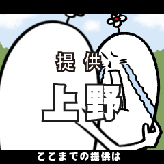 [LINEスタンプ] 上野さんの毎日お名前スタンプ