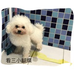[LINEスタンプ] C W Taiwan