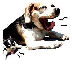 [LINEスタンプ] my family dog~ beagle Chihuahua