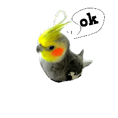 [LINEスタンプ] Bird's daily life part.2