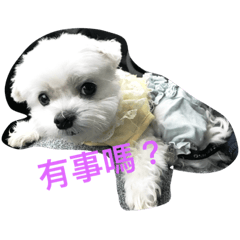 [LINEスタンプ] sweet a-ton
