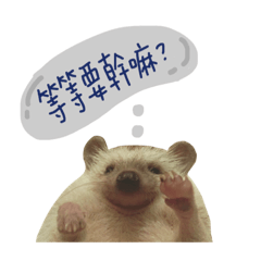 [LINEスタンプ] pets talk