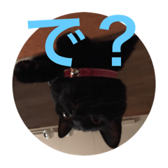 [LINEスタンプ] うる猫