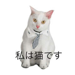 [LINEスタンプ] 多摩とタゴ