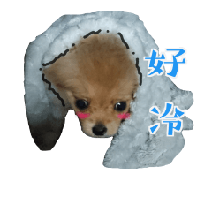 [LINEスタンプ] puppy talking to u