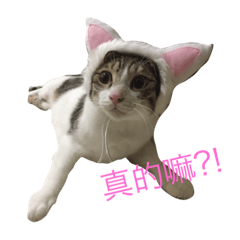 [LINEスタンプ] Murmur＆brothers