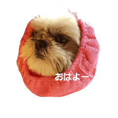 [LINEスタンプ] まろまろてゅーってゅ