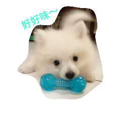 [LINEスタンプ] Spitz White Princess